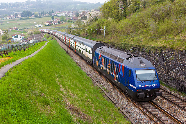 130430 IC Re460 Bossieres C