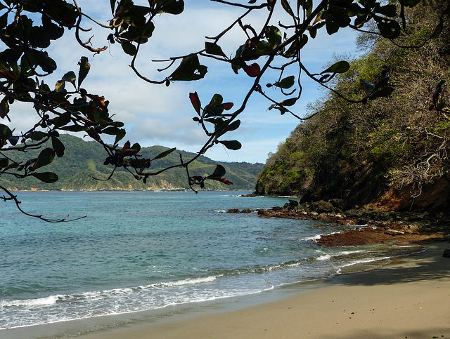 Beach where we landed, Little Tobago trip, Day 3