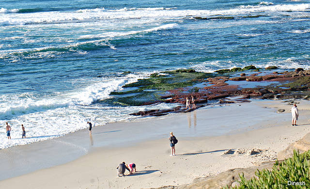 Beach scene