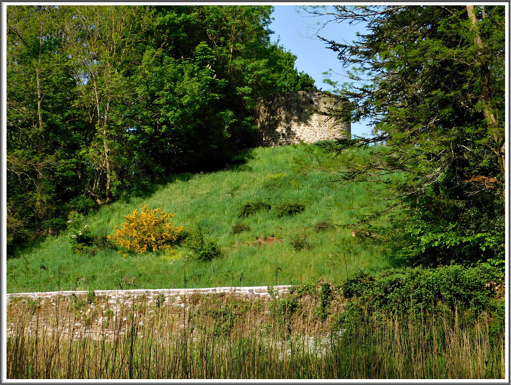 Le colombier du manoir ou château de Quincoubre (22)