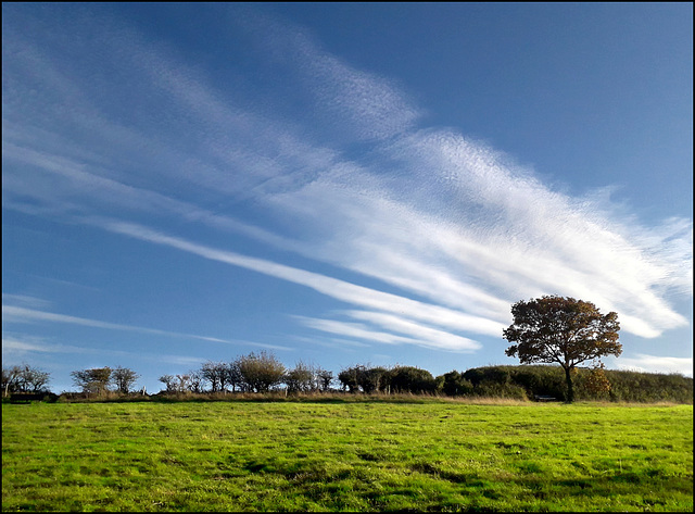 Dunstable Downs
