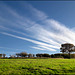 Dunstable Downs