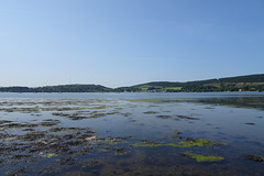 Clyde Estuary At Rhu