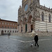 Siena 2024 – Bells of Duomo