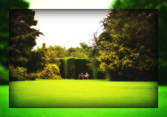 Green green grass of home !!