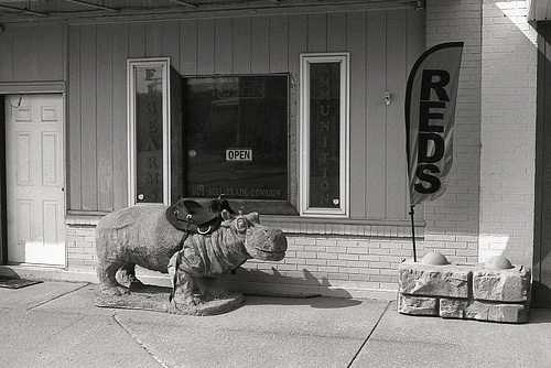 The Hippopotamus In Front Of The Gun Store On Main Street