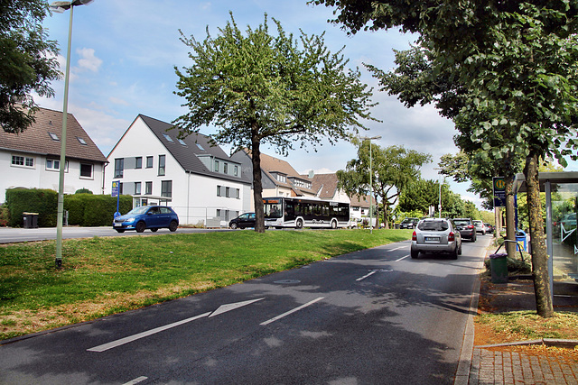 Hatzper Straße (Essen-Haarzopf) / 6.07.2023