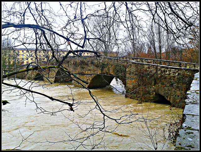 Pamplona: río Arga en crecida 14