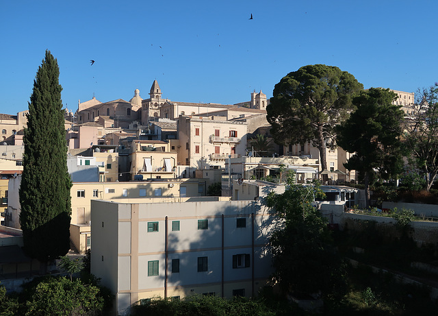 Good morning, Noto!