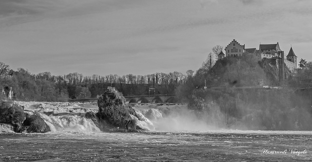 Am Rheinfall bein Neunkirch