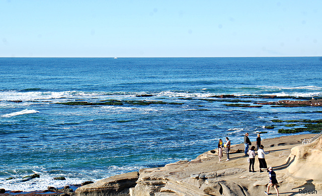 Beach scene