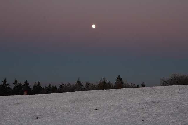 Schnee auf dem Feldberg