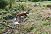 at last water