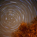 Startrails 2015 11 03 around Polaris from the courtyard this evening