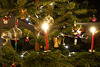 weihnachtsbaum 0406