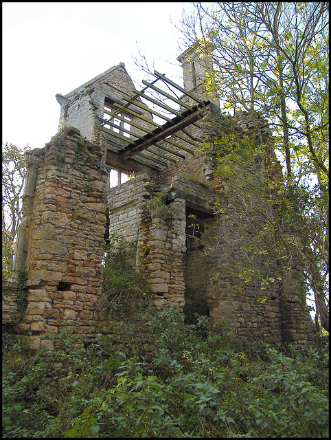 Manor House ruins