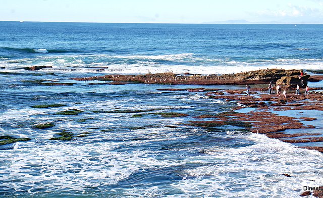 Beach scene