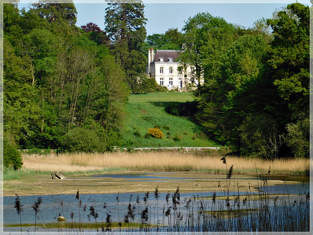 Le manoir ou château de Quincoubre (22)