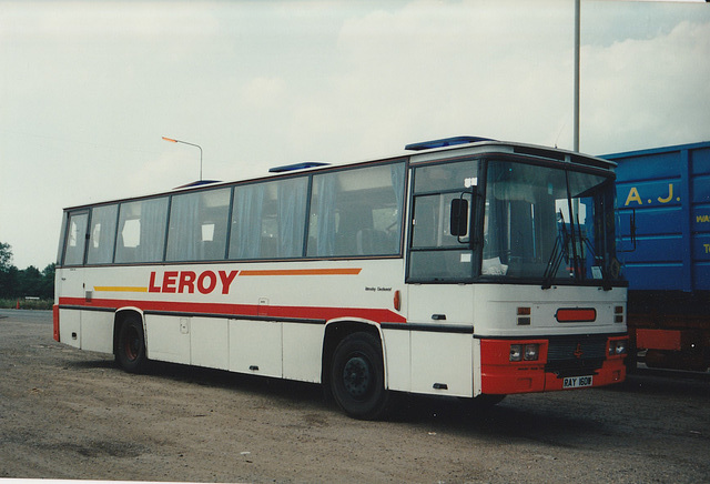 Leroy (P J Brown) of Barway RAY 160W at Red Lodge – 8 Jul 1995 (275-31)