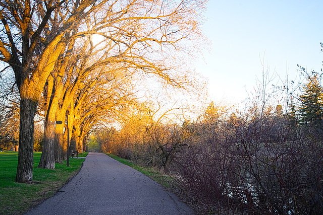 path by the Creek at sunrise