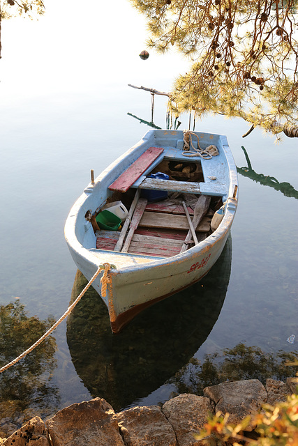 IMG 8059 SR