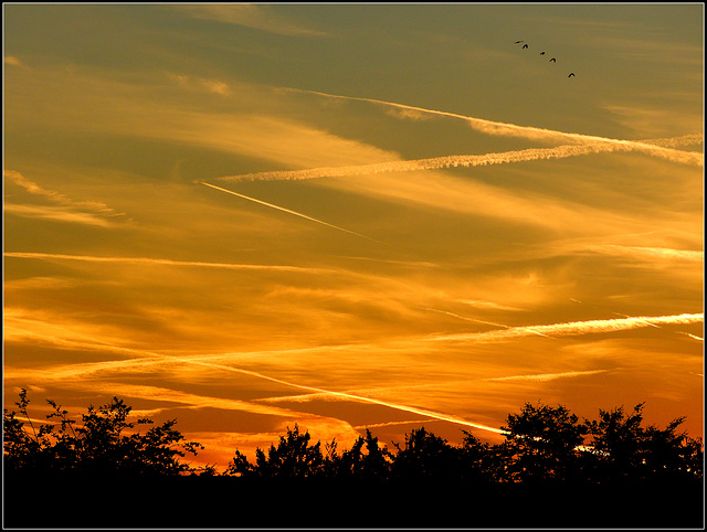 Goodbye  Summer.....(3)   (Busy  Sky)