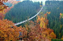 DE - Mörsdorf - Geierlay bridge