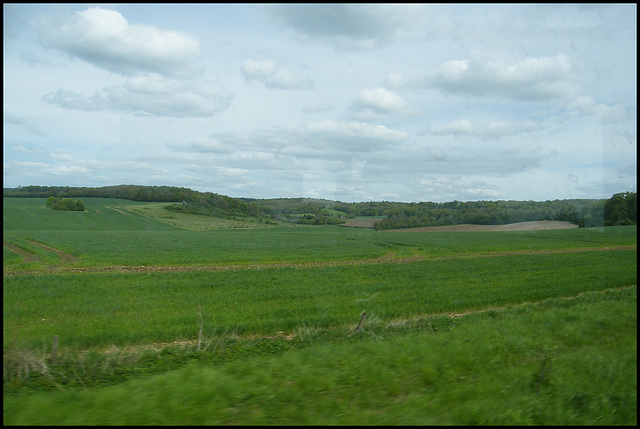 undulating landscape