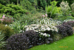 jardin du Pellinec 22 jardin du Pellinec 22