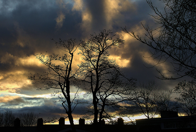 Sunset Clouds