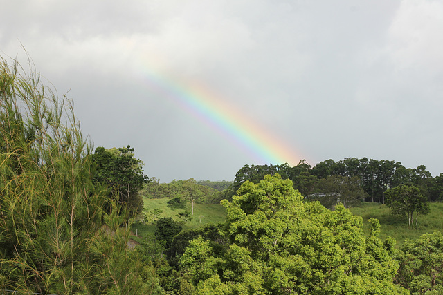 70/366 Rainbow