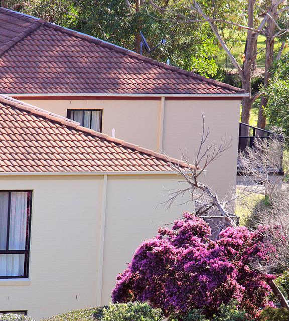 251/366 terracotta roof