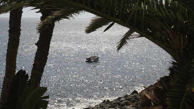 Royal Savoy, Funchal