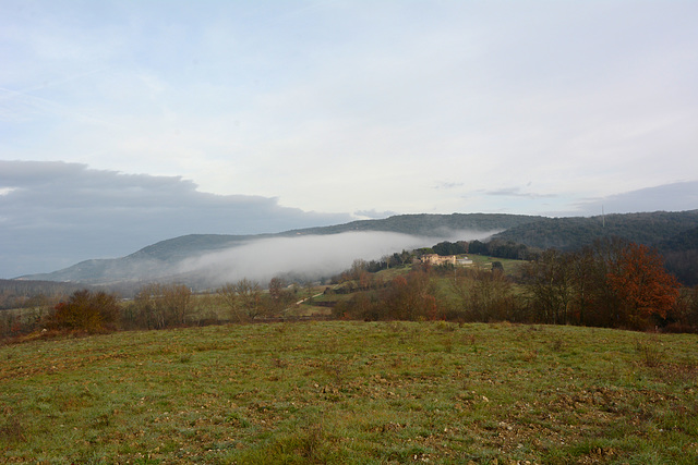 Italy, Toscana, Morning Fog in January