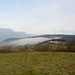 Italy, Toscana, Morning Fog in January