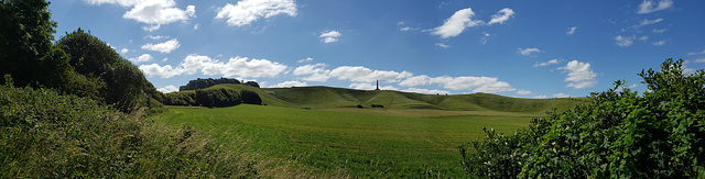 41 WILTSHIRE - Cherhill white horse