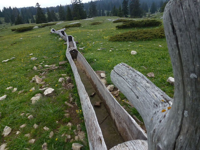 20150523 -25 Rando VTT La chapelle en Vercors (187) al