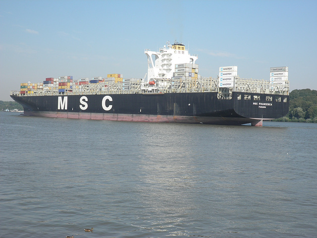 Containerschiff MSC Francesca