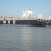 Containerschiff MSC Francesca