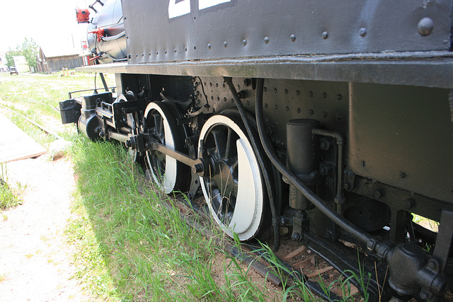 IMG 4985