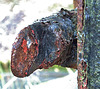 Crusty Rusty 3