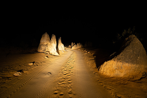 Night view