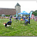 St Andrew's fete pano 1