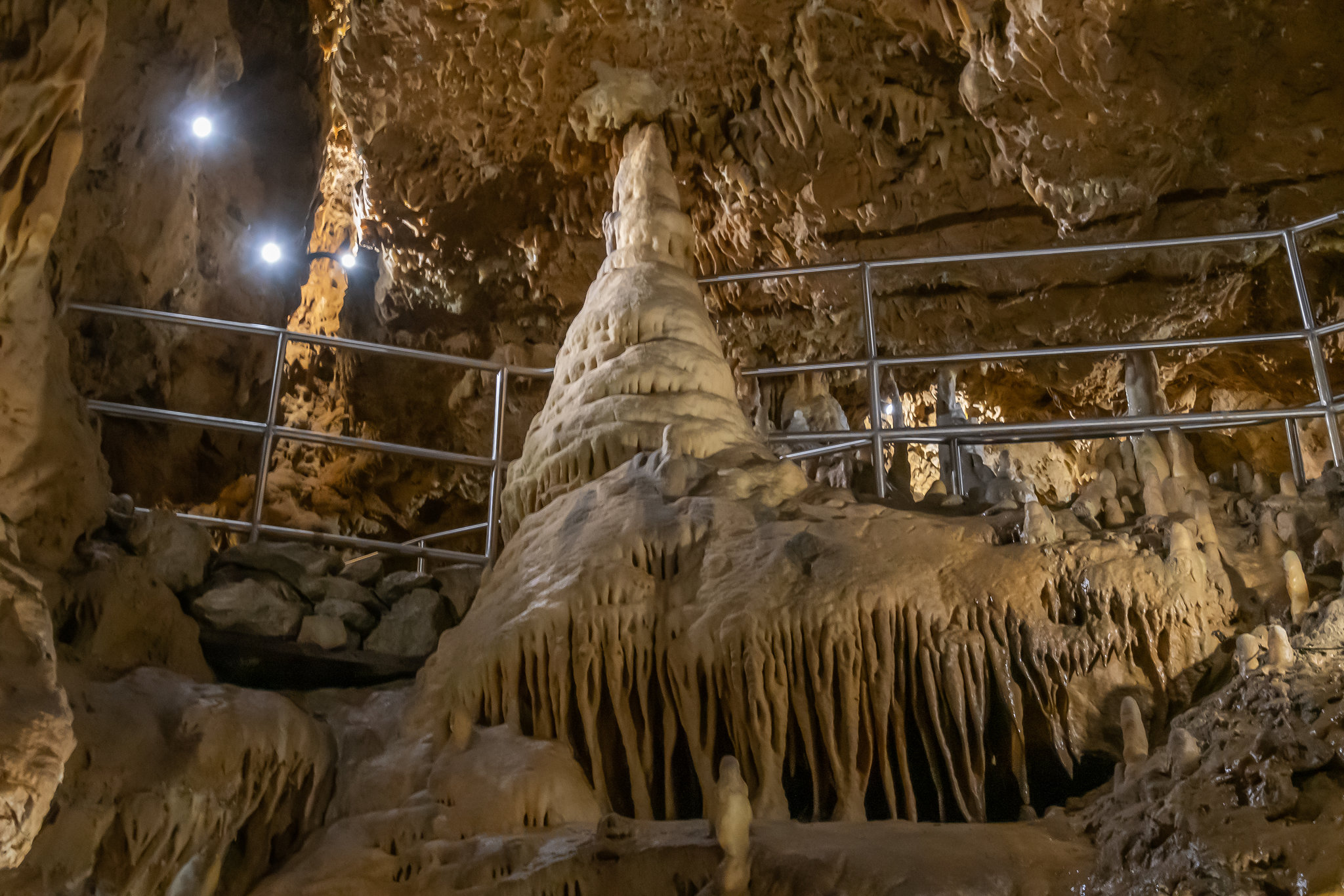 Der Baum im Riesensaal - HFF