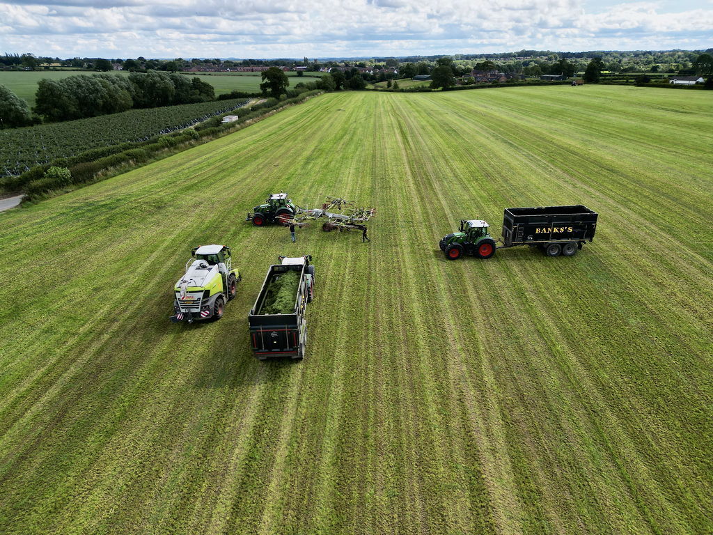 Silage Time