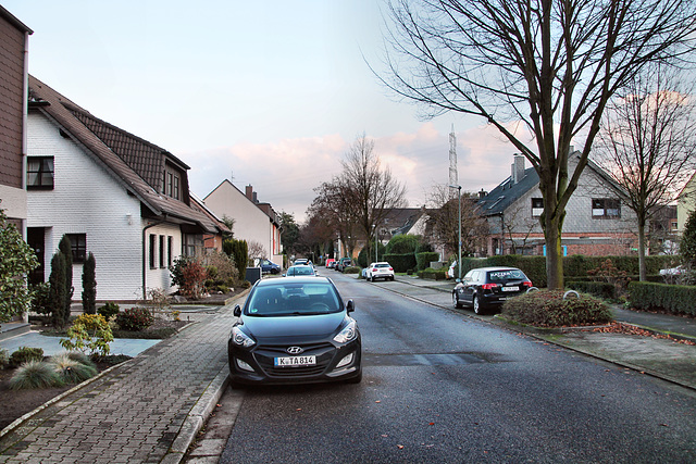 Honigmannstraße (Gelsenkirchen-Scholven) / 24.12.2022