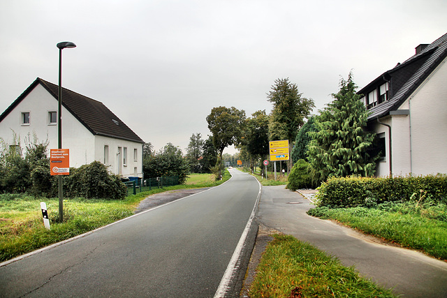 Kamener Straße (Bönen) / 9.10.2023