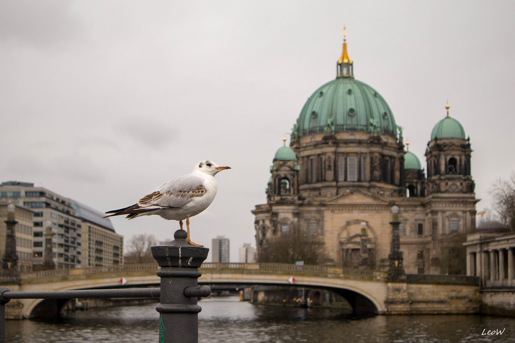 "Ick bin een Berliner!"