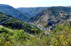 Les Vignes - Gorges du Tarn