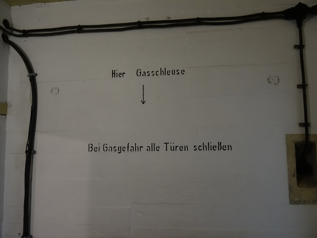 gnshqg (1005)